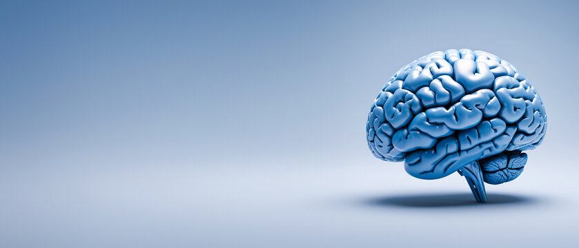 3D rendered human brain in shades of blue with solid background