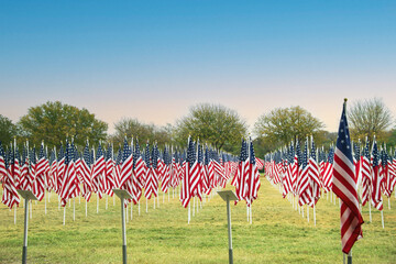 Field of American flags displayed on the honor of Veterans Day celebration  