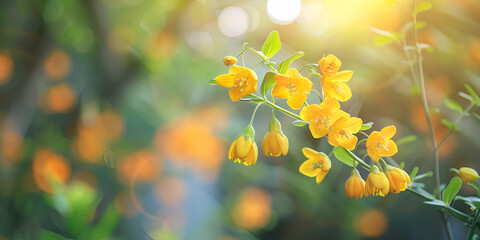 Beauty Yellow Waxbells flower garden decoration