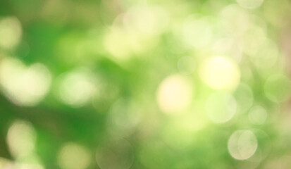 Nature blur green leaf and light abstract background. Sunlight bokeh on green leaf tree foliage in...