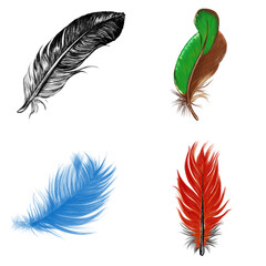 Obraz premium A set of fluffy bird feathers in various shapes and sizes, like a painter's palette of natural quills | Digital Arts