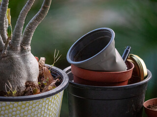 Pot en plastique et récupération d'ustensile de jardinage 