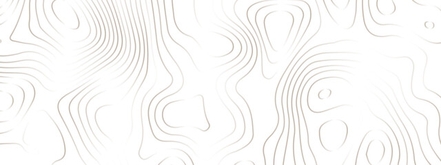 White paper wave curve relief geometric wave grid line background. . Abstract wavy topographic map and curved lines background. Vector illustration.