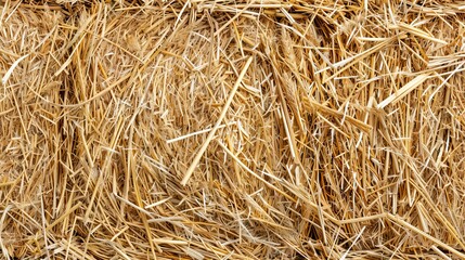 Fototapeta premium Close-up of straw bales, emphasizing texture and natural tones, perfect for advertising, isolated against a clean background