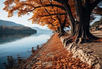 Autumn Serenity: Tranquil Lake Shore Scene