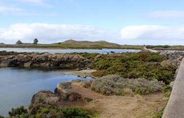 Coastal view of the ocean, rock formations and plants at Port Fairy in Victoria, Australia