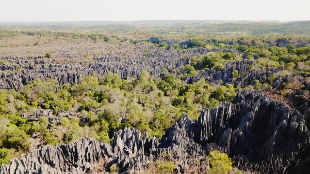 Big "Tsingy de Bemaraha" - spiky stone formation and national park nr. 1 in Madagascar. (4K) - Slow motion Aerial Drone Clip