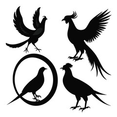 Vector silhouettes of rooster ring-necked pheasants, standing, walking and flying vector