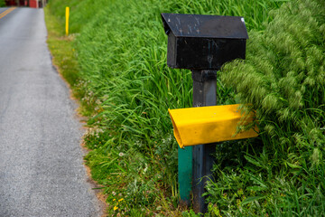 Mailboxes off center in tall lush green grass on a quiet country road positive emotion