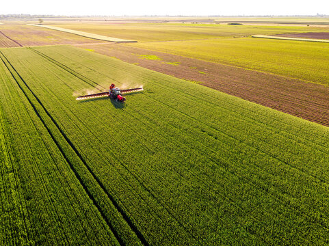 Drone shot of a red tractor applying treatment to wheat crops in vast farmland