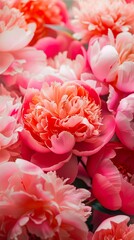 Pink flowers are arranged in a vase.