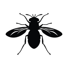 Fly insect vector silhouette