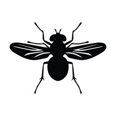 Fly insect vector silhouette