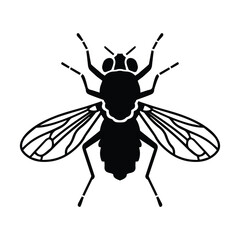 Fly insect vector illustration