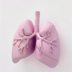 Lung model 3d icon on white background
