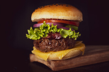 Tasty burger on rustic background