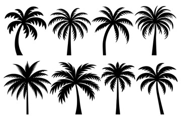 Set of palm trees silhouette isolated on white background. Vector Illustration.