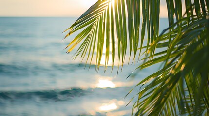 Fototapeta premium palm leaves over the sea in the early morning light