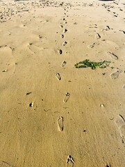 footprints in the sand