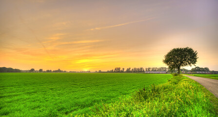 Sunset falls over a rural landscape and a lonely tree is watching it. Dutch landscape.