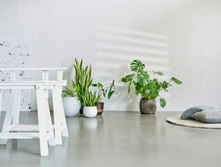 Decorative vase of plant flower design, white background botanic interior concept.