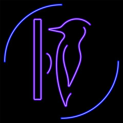 woodpecker neon sign, modern glowing banner design, colorful modern design trend on black background. Vector illustration.