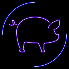 pig neon sign, modern glowing banner design, colorful modern design trend on black background. Vector illustration.