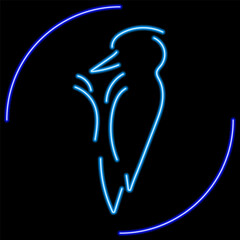 woodpecker neon sign, modern glowing banner design, colorful modern design trend on black background. Vector illustration.