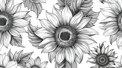 Monochrome floral seamless pattern with sunflower hea