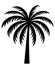 Palm tree silhouette