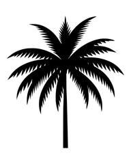 Palm tree silhouette