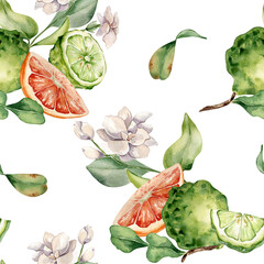 Jasmine branch and ripe fruits watercolor seamless pattern isolated on white. Bergamot and...