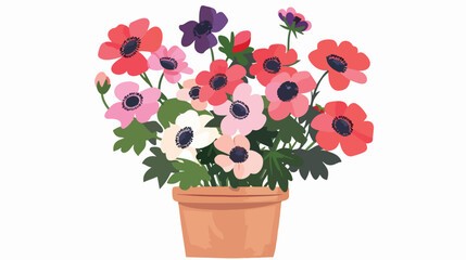 Potted home flowers. Blooming floral plant growing in