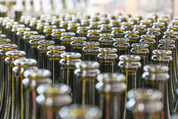 Il Vino la vera passione italiana ed i suoi territori 