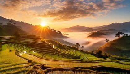 Misty Rice Terraces and Mountain Range