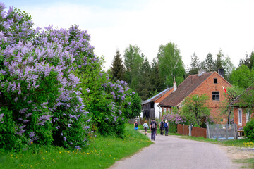 Group of hiking people on road in village in spring scenery. Warmia and Mazuria, Podlasie, Poland