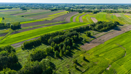 Farm fields in summer, Poland. Aerial drone view