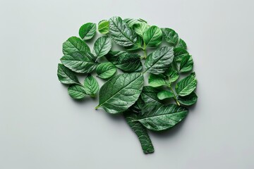 Fresh green leaves in a shape of human's brain isolated on white background
