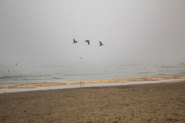 Europe, Romania, Constanta region, 2024 year - Sea, seashore 