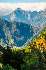 Naklejka premium Views from Cabo de Larano viewpoint and Vereda do Larano coastal hiking trail. Cliffs atlantic ocean and tropical mountains vegetation. Madeira island in Portugal