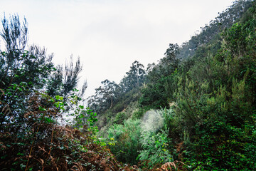 Views from Cabo de Larano viewpoint and Vereda do Larano coastal hiking trail. Cliffs atlantic...