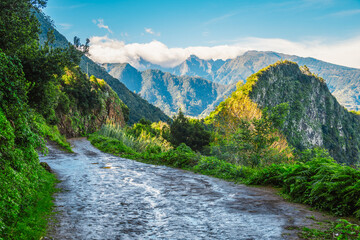 Views from Cabo de Larano viewpoint and Vereda do Larano coastal hiking trail. Cliffs atlantic ocean and tropical mountains vegetation. Madeira island in Portugal