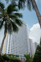 Fototapeta premium Palm tree with modern skyscraper and clouds in the sky