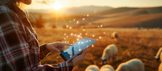 modern farm with technology concept background. young farmer use tablet in the sheeps farm