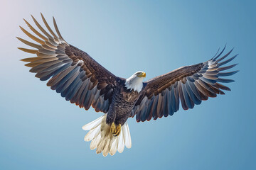 Obraz premium Stylized eagle in flight, feathers in American flag colors, clear sky background 