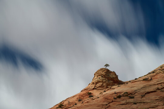 A lone tree standing on a rock formation in front of swirling cl