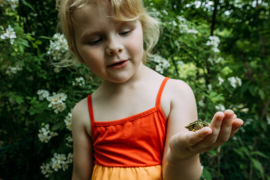 Young girl admiring small turtle in her hand