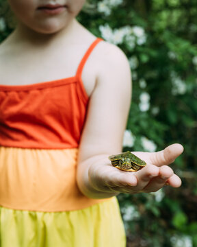 Child holding hatchling turtle in hand