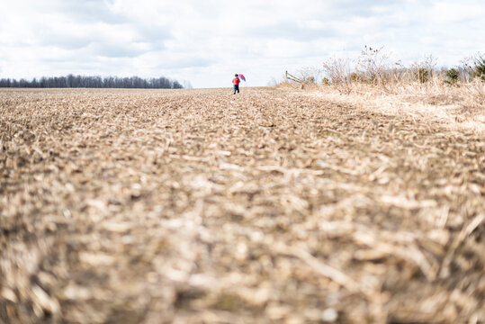 Child walking with colorful umbrella in expansive rural corn field