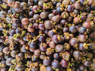 pile of mangosteen fruit. fruit that has purple skin and white flesh